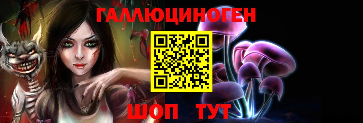 Псилоцибиновые грибы Psilocybine cubensis Сунжа